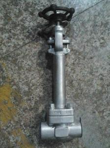 DZ61H锻钢低温闸阀