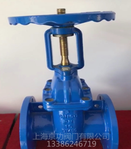 FZ41T明杆防护铜芯闸阀